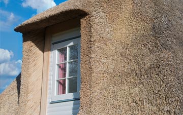 Wormley thatch roof disadvantages